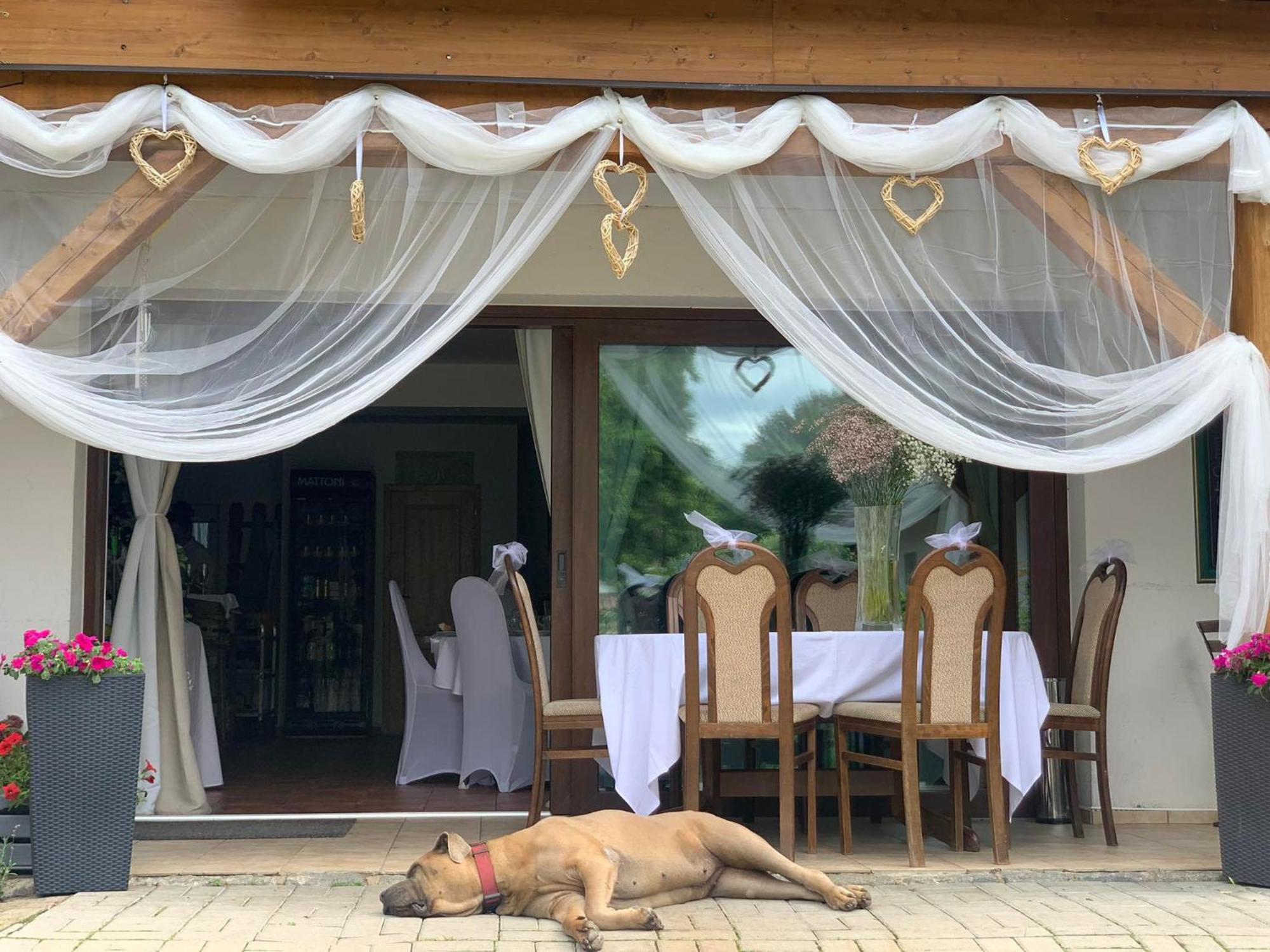 Hotel Soukromá rezidence Pohádková usedlost Lovětín Exteriér fotografie